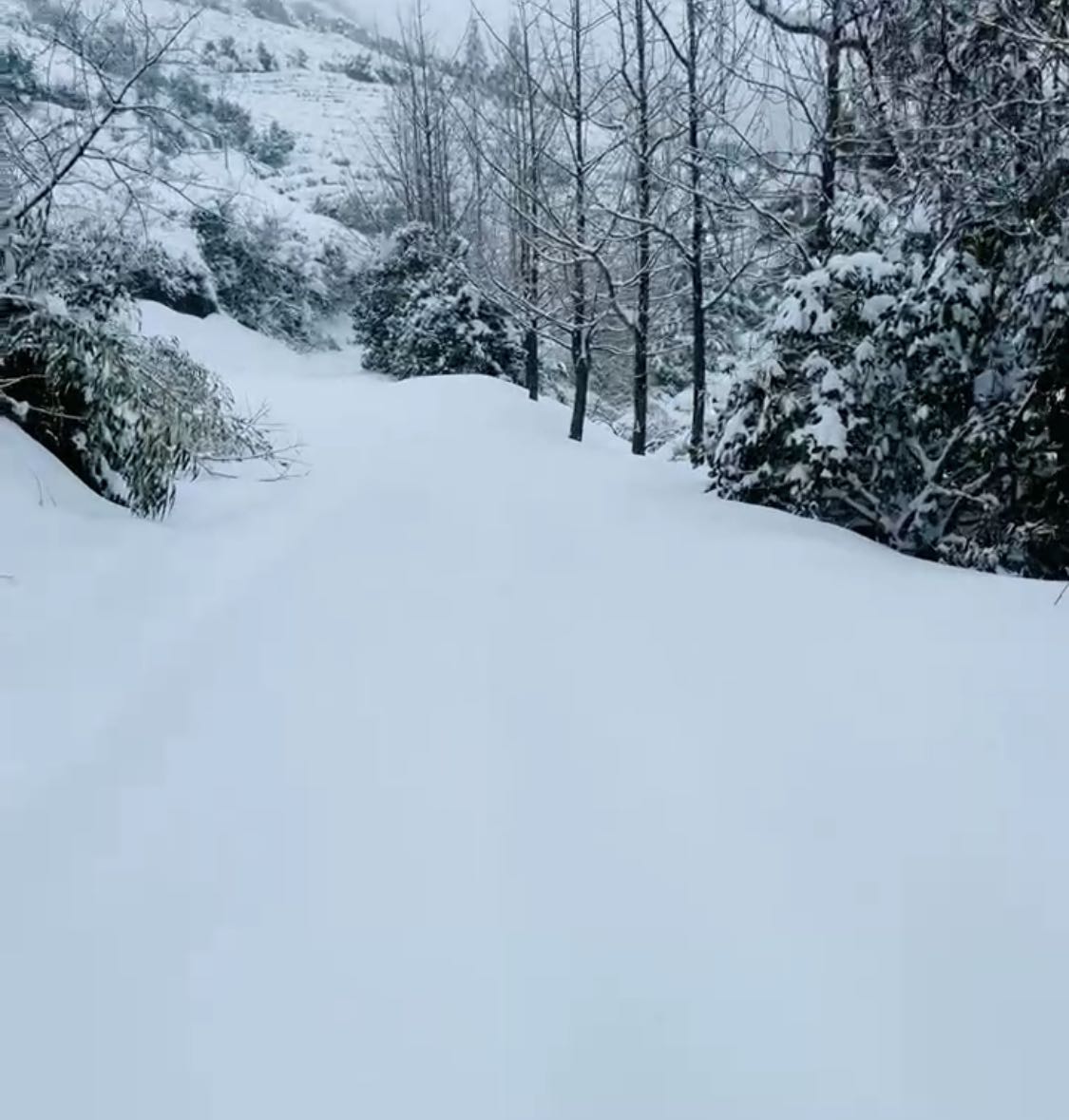 临安今日雪景